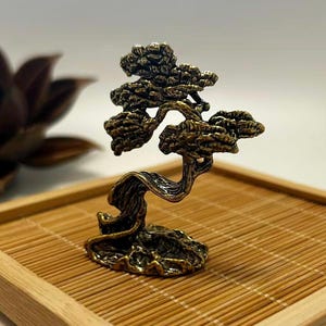 中国天然石 山石 盆栽 水石 アラシャン砂漠 ゴビ石 113001 - Etsy 日本