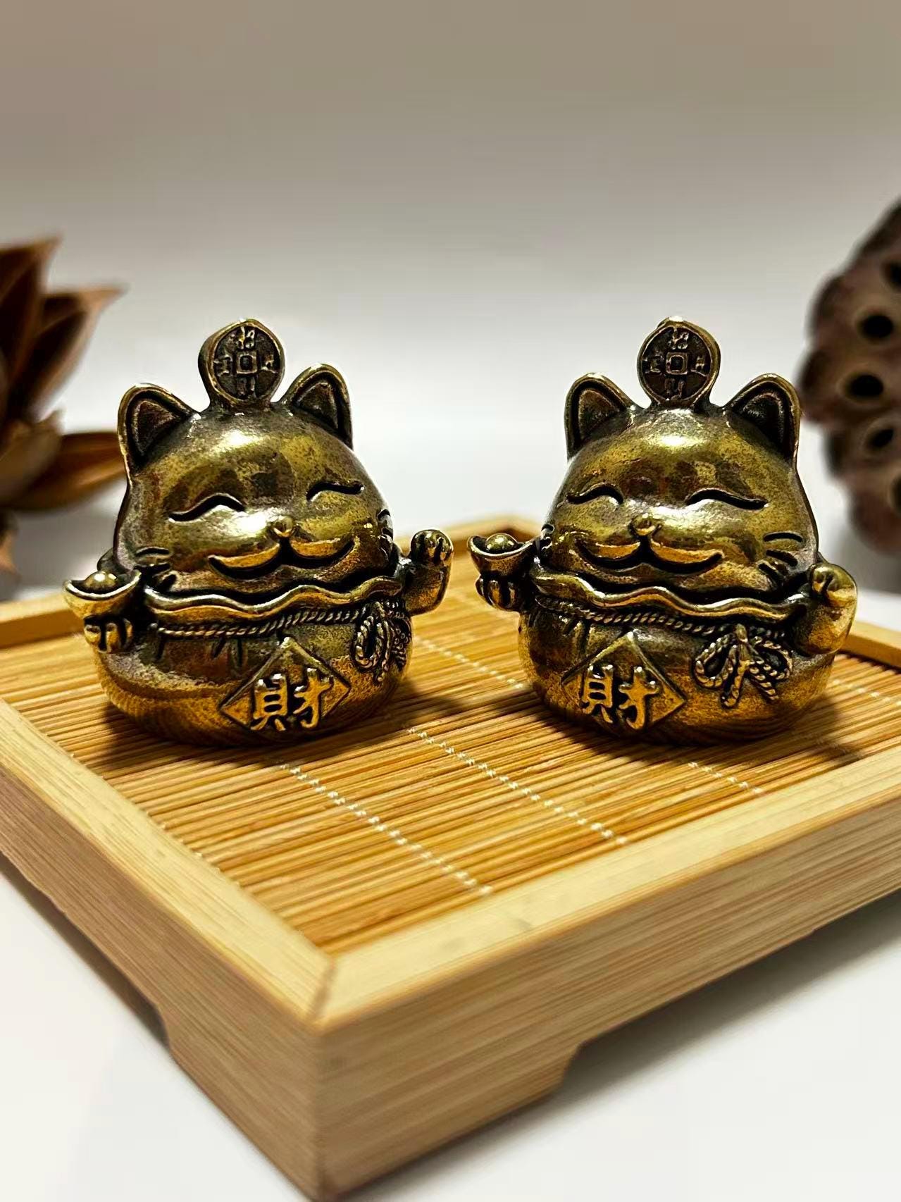 Neko Pet Shop - Etsy