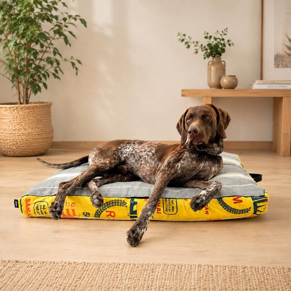 Tragbare hundebett - Etsy.de