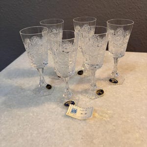 10 oz elegant plastic wine glasses 2 ct packs Setup Clear Hard Plastic Cups/Tumblers [10 oz