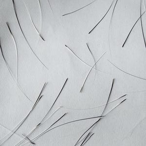 Genuine Cat Whiskers for Spells and Magik (proceeds go to charity ;) [see &quot;BONUS&#39;])