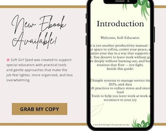 Burnout-Reducing Daily Planner PDF for Special Educators