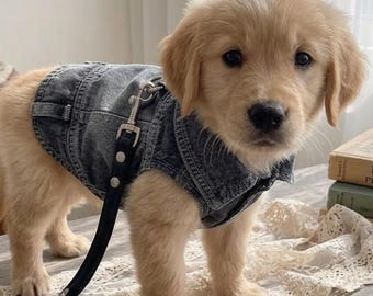 May include: A golden retriever puppy wearing a dark gray denim vest with a black leash attached. The puppy stands on a white lace runner next to a ceramic vase with dried lavender, a copper bowl with smooth stones, and a stack of books.