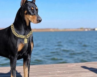 Diamond Inlay Dog Collar Chain – Sparkle Cat Necklace