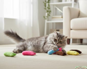 May include: A fluffy gray cat plays with colorful, stuffed toy fish on a beige carpet. The cat is focused on the toys, which are in shades of pink, blue, green, yellow, and brown. The background includes a window, a couch, and a shelf.