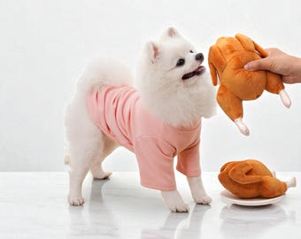 May include: A white Pomeranian dog wearing a pink shirt, looking up at a plush toy turkey being held up. Another plush turkey toy sits on a white plate. The toys are brown and white.