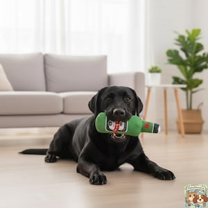 Puede incluir: Un perro labrador retriever negro está acostado, sosteniendo un juguete de peluche verde con forma de botella de cerveza en la boca. El juguete tiene una etiqueta blanca con texto rojo y negro y una estrella roja. El perro está en un salón.