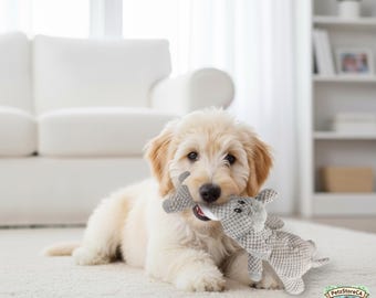 May include: A fluffy, light-colored puppy lies on a white carpet, holding a gray dog toy in its mouth. The toy is shaped like a small animal. The background includes a white couch and a bookshelf.