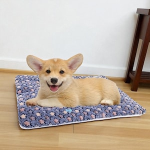 Op de afbeelding: Een bruin en witte Corgi-puppy ligt op een blauw en roze patroon dierenbed. Het bed heeft een witte rand. De puppy lacht.