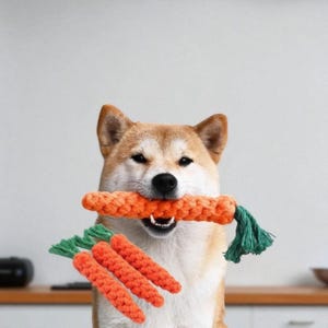 May include: A Shiba Inu dog with an orange rope carrot toy in its mouth, and three smaller carrot toys in front. The toys have green tassels and are designed for pets.