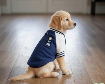 May include: A golden retriever puppy wearing a navy blue and white varsity jacket with a bear patch. The jacket has white sleeves and striped cuffs. The puppy is sitting on a wooden floor.