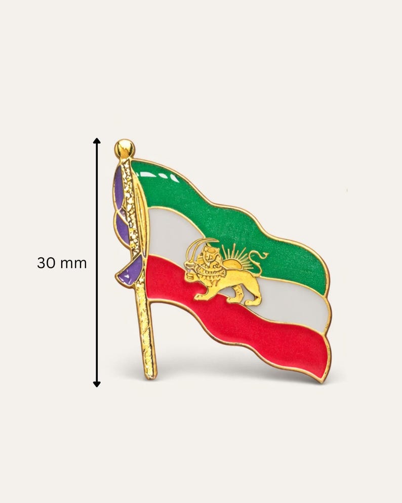 Lion & Sun Shir O Khorshid Iran Flag Pin Brooch – Raised Gold Persian ...