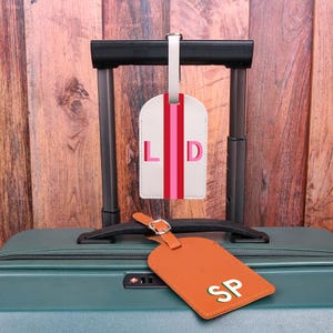 Könnte beinhalten: Zwei Gepäckanhänger. Einer ist weiß mit rosa Streifen und den Buchstaben "LD". Der andere ist braun mit den Buchstaben "SP". Beide Anhänger sind an einem grünen Koffer mit schwarzem Griff befestigt. Der Hintergrund ist eine Holzwand.