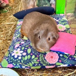 Könnte beinhalten: Ein braunes Meerschweinchen ruht auf einem rechteckigen Fleecebett mit dunkelblauem Hintergrund und einem bunten Blumenmuster aus rosa Rosen und grünen Blättern, ergänzt durch ein kleines, einfarbiges, hellrosa Kissen.