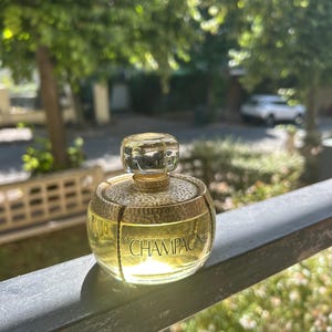 YSL　Champagne Eau de Toilette　50ml $_57.JPG?set_id=8800005007