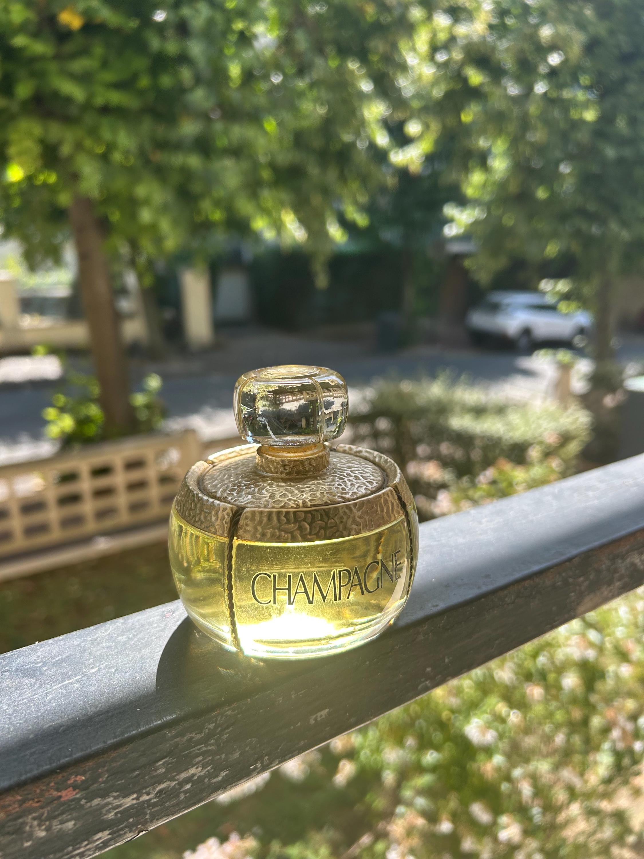 イブサンローラン シャンパーニュ〜 箱入り オードトワレ ナチュラル香水 イブサンローラン シャンパーニュ〜 箱入り オードトワレ