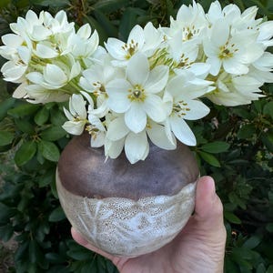 May include: A round, handcrafted ceramic vase with a two-tone finish. The upper portion is a smooth, dark brown glaze, while the lower section features a textured, cream-colored glaze with a subtle leaf-like pattern. It holds a bouquet of white flowers.