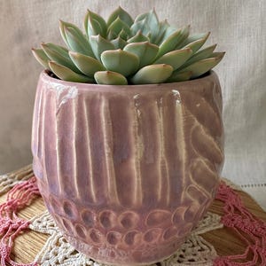 Op de afbeelding: Een lichtgroene vetplant met puntige bladeren staat in een ronde, mauvekleurige keramische plantenpot. De pot heeft een glanzende afwerking met verticale ribbels aan de bovenkant en een textuur met kuiltjes aan de onderkant.