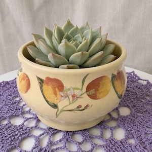May include: A light cream-colored ceramic planter with a rounded shape, decorated with painted orange and yellow peach illustrations and small white blossoms. A pale green succulent plant with pointed leaves sits inside the bowl-shaped pot.