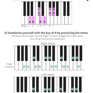 Essential Chords Guide for Piano - 27-Page Digital Download for Music Educators