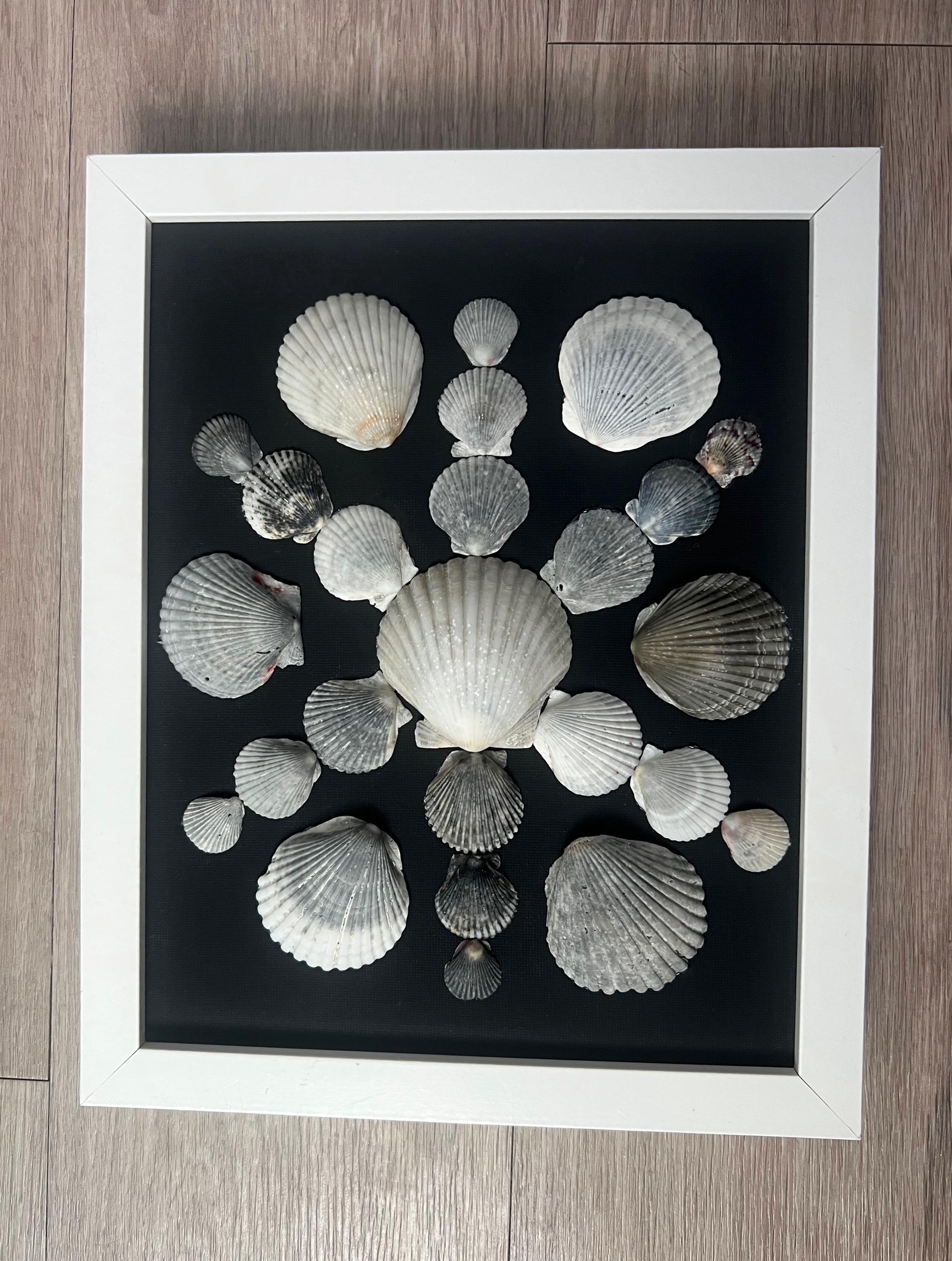 集めた貝で作ったアート作品 貝殻アート作品 | 海岸風の額入りアート | - Etsy 日本