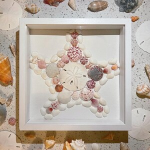 Starfish Seashell Shadow Box Art Piece