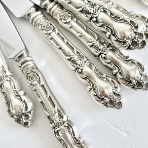 Può includere: Primo piano di diversi coltelli d'argento con dettagli floreali ornati sui manici. Le lame sono lucenti e riflettono la luce. I manici presentano un motivo dettagliato di fiori e foglie, conferendo all'argenteria un aspetto vintage o antico.