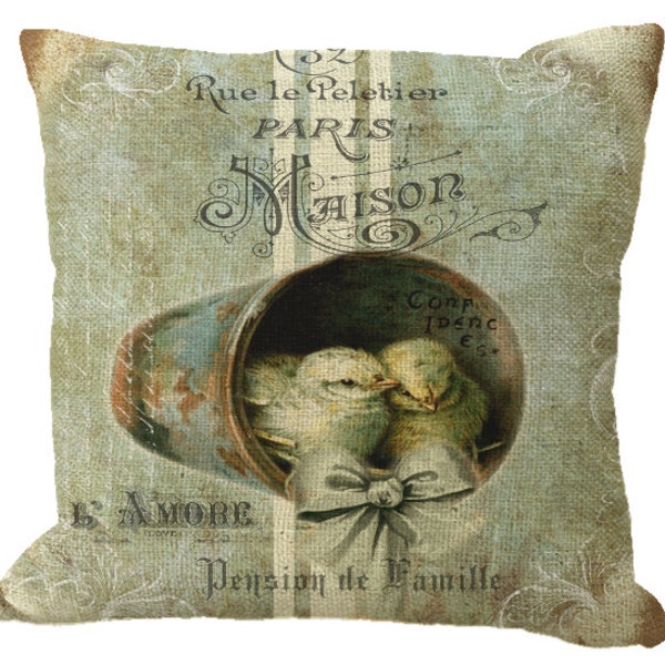 Aged Aqua Striped French Chicks in a Rustic Pot in Choice of 14x14 16x16 18x18 20x20 22x22 24x24 26x26 inch Pillow Cover