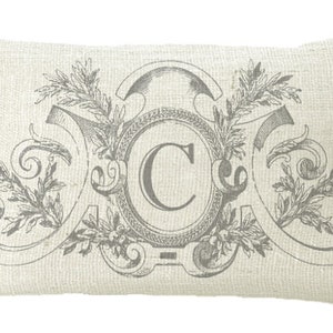Neutral Gray Fancy Frame Custom Monogram Oblong in choice of 18x12 20x13 24x16 14x14 16x16 18x18 20x20 22x22 24x24 26x26 Pillow Cover