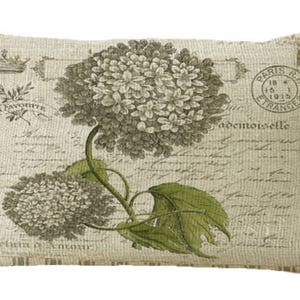 White Hydrangea on French Postcard Oblong in Choice of 16x12 18x12 20x12 20x13 22x15 24x16 inch Pillow Cover