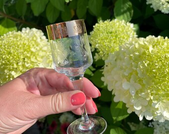 Vintage Gold Rim Liqueur Glasses - Set of 6 Floral Etched Barware