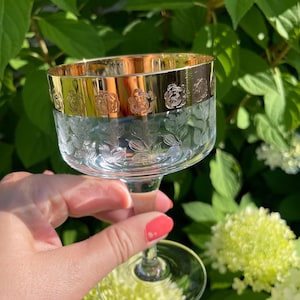 Vintage Gold Rim Floral Etched Champagne Coupes – Set of 6 Romantic Cottagecore Barware, 225ml (7.6oz) Cocktail Glasses