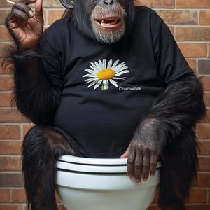 L'évolution du penseur : art numérique chimpanzé ironique. Affiche de mauvaise humeur pour Thinking Room.