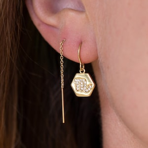 Gold Filled Earrings, Long Zodiac Sign Earring Threader, Scorpio Taurus Dainty Minimalist Earrings, Dangle Earrings, Perfect Gift, Horoscope