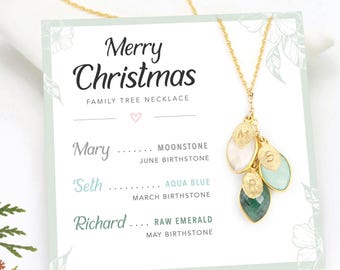 Personalized Christmas Gift Necklace, Meaningful Jewelry for Mom Necklace on Card, Custom Family Tree Necklace with Kid's Birthstone