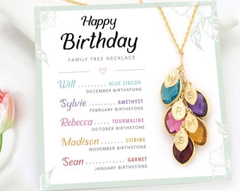 Mom Birthday Gift from Daughter, Happy Birthday Card Necklace From Son, Unique Personalized Gift for a Mom of 5, Multi Birthstone Necklace