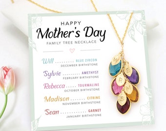 Mom Necklace Gift from Daughter, Happy Mothers Day Card Necklace From Son, Unique Personalized Gift for Mom of 5, Multi Birthstone Necklace