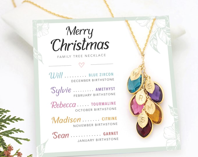 Mom Necklace Gift from Daughter, Merry Christmas Card Necklace From Son, Unique Personalized Gift for Mom of 5 Multi Birthstone Necklace