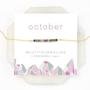 October Birthstone, Multi Tourmaline Minimal Necklace, Gift for Her, Watermelon Tourmaline, Ombre Jewelry, Dainty Gemstone Bar, NK-DB