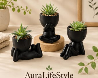 3 Piece Faux Succulent Planters for Bathroom Bedroom Office and Halloween Decor