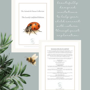 Montessori Ladybird Activities I Printable Lifecycle, Anatomy, Matching Game & Colouring for Kids