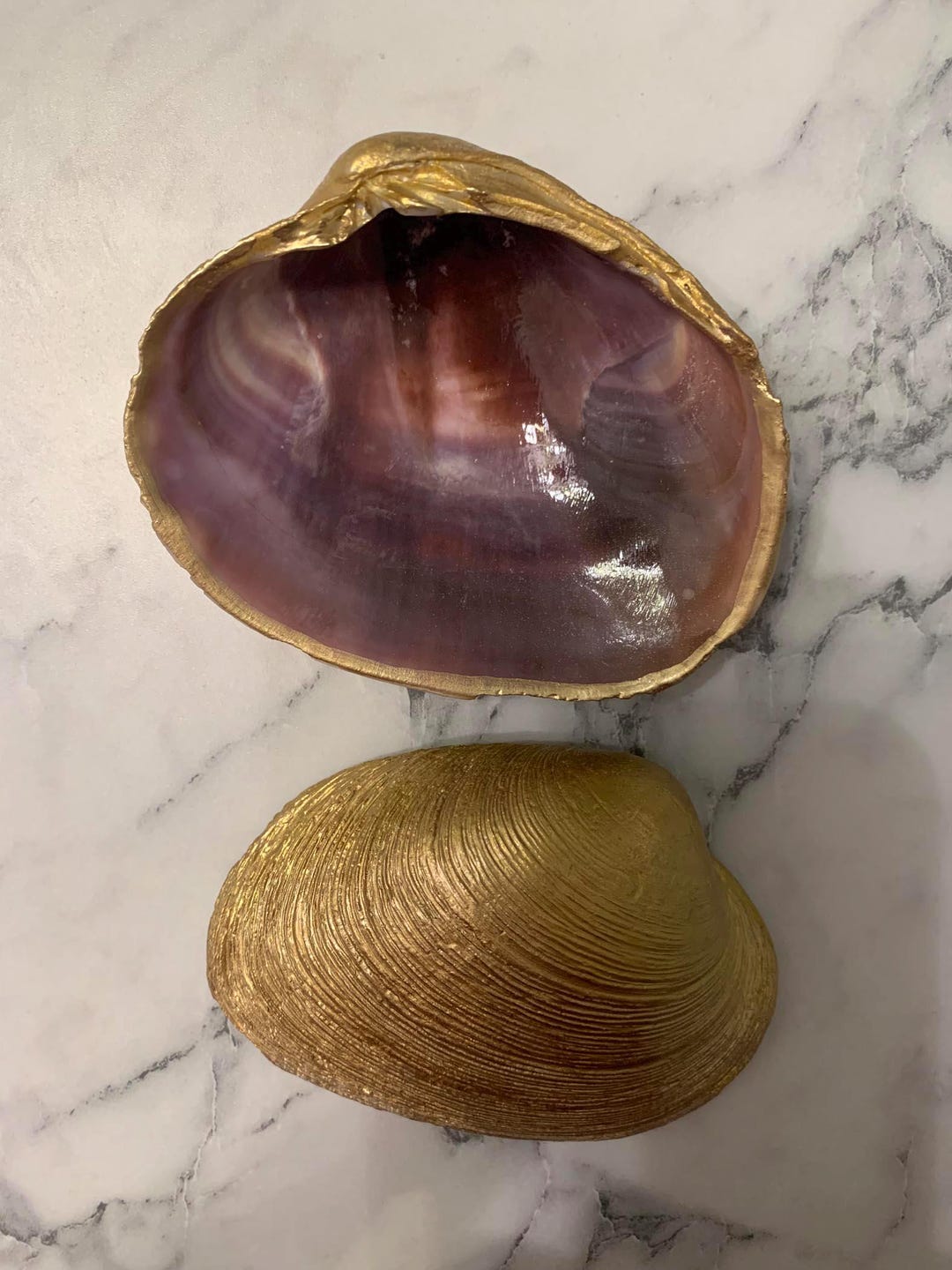 Clam Shell Trinket and Ring Dishes. Natural Purple Shell - Etsy