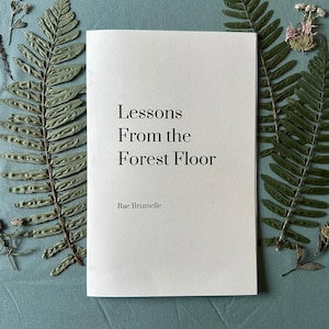 Lessons From the Forest Floor, Poetry Zine