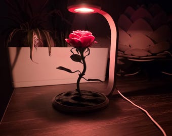 Valentine's Day Gift | Desk Lamp & Rose Decor
