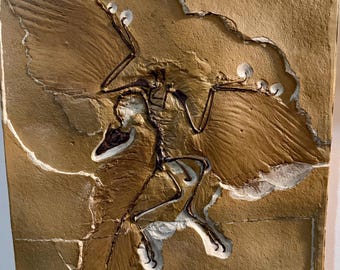 Replica Archaeopteryx ('Berlijns exemplaar')