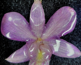 Real Dendrobium Orchid Necklace in 18K Gold Plated Chain, Gift Ready