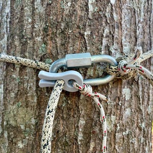 May include: Close-up of a tree trunk with climbing gear attached. A silver carabiner is connected to a rope with a gray plastic rope guide. The rope is white with black and red accents.