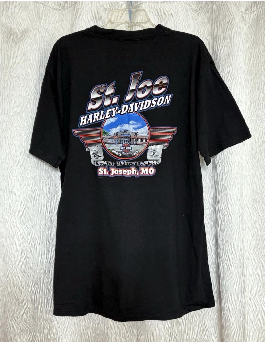 モードY2K　Harley-Davidson ピチT グランジ　00年代 00年代 Harley-Davidson ハーレーダビッドソン ロゴプリントT