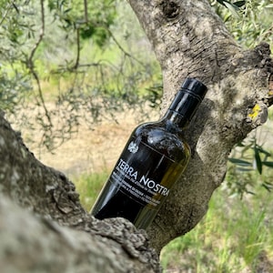 Può includere: Una bottiglia di vetro scuro di olio d'oliva, etichettata "Terra Nostra", è appoggiata a un ramo d'albero. La bottiglia ha un tappo nero e un'etichetta bianca con testo. Lo sfondo mostra una vista sfocata di un albero e del fogliame.