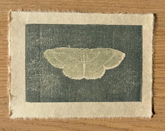 May include: A rectangular print on off-white paper with frayed edges featuring a dark teal background and a centered, light sage green moth silhouette. The moth has delicate, thin white lines detailing its wings, creating a high-contrast visual.